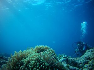 pulau kapoposang