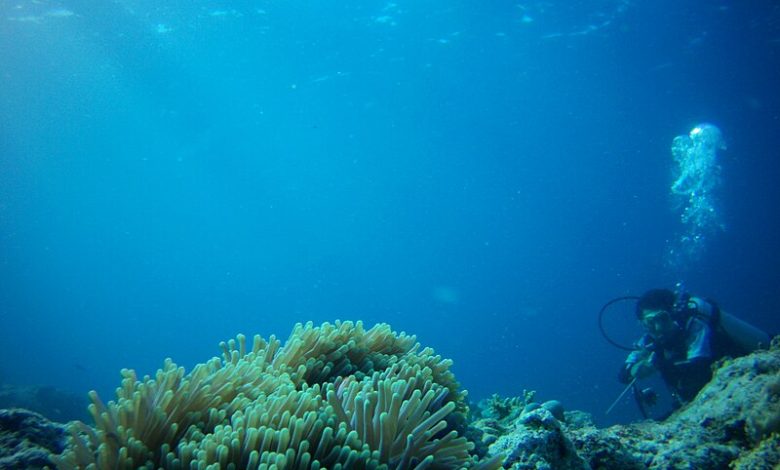 pulau kapoposang