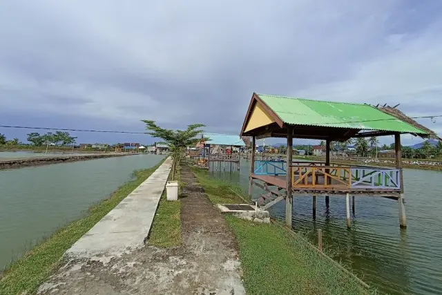 Kegiatan-Menarik-Wisata-Mangambang