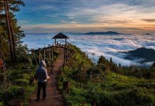 pango-pango-toraja