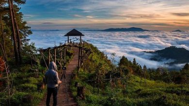 pango-pango-toraja