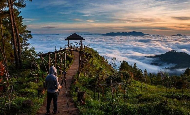 pango-pango-toraja